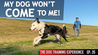 I Let My Dog Off Leash and She Ran Away From Me [upl. by Baylor]