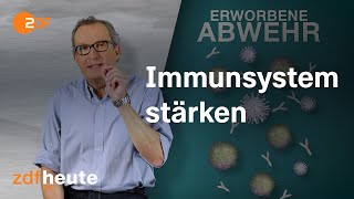 Wie funktioniert unser Immunsystem [upl. by Costin434]