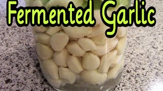 Fermented Garlic  Preserving Garlic with Fermentation [upl. by Htebazil]