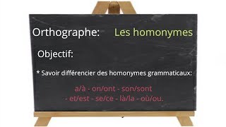 Cours de français Les homonymes [upl. by Yesac]