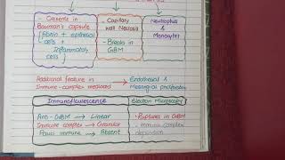 Nephrotic Syndrome  Types and pathology histology [upl. by Catlee660]