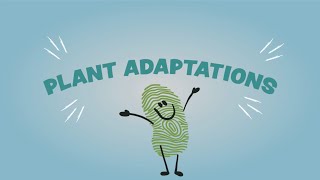 Plant Adaptations [upl. by Eilloh339]