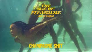 Janelle Monáe  Champagne Shit Official Audio [upl. by Tniassuot]