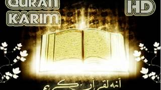 Quran Karim Complete Audio Version [upl. by Nemrak]