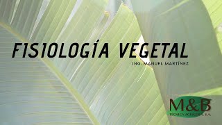 Introducción a la Fisiología Vegetal [upl. by Cogen]