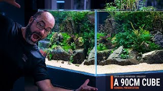 90CMCUBE PLANTED TANK WITH A SUMP FILTRATION AND EASY AQUATIC PLANTS [upl. by Swarts]