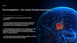 Chapter 141 Homeostasis  Thermoregulation [upl. by Avilla]