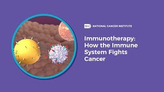 Immunotherapy How the Immune System Fights Cancer [upl. by Clite538]