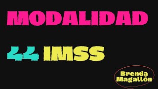 Modalidad 44 IMSS Trabajadores independientes [upl. by Eetnuahs]