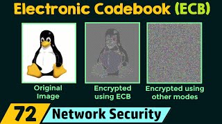 Electronic Codebook ECB [upl. by Madelin]