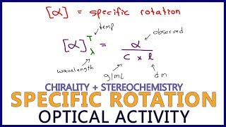 Specific Rotation and Observed Rotation Calculations in Optical Activity [upl. by Eibrik309]