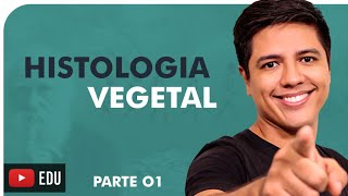 HISTOLOGIA VEGETAL PARTE 01  BOTÂNICA  Prof Kennedy Ramos [upl. by Mode]