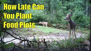 How Late Can You Plant Food Plots For Deer [upl. by Viens]