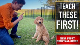 NEW PUPPY SURVIVAL GUIDE The FIRST Things to Teach Your NEW PUPPY EP 3 [upl. by Hinda]