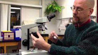 Introduction to the compound light microscope [upl. by Llohcin]