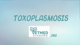 Toxoplasmosis [upl. by Namas959]