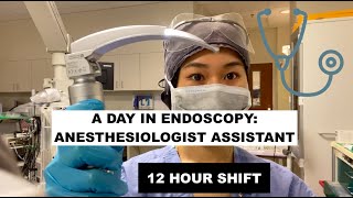 A day as an Anesthesiologist Assistant in EndoscopyGI [upl. by Anav]