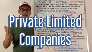 Private Limited Companies [upl. by Ardnikal]