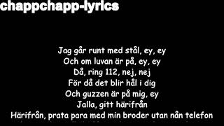 Dizzy amp Einar  Härifrån official lyrics [upl. by Aerdnu]