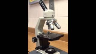 Parts amp Functions of Microscope [upl. by Omlesna999]