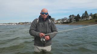 60 Second HowTo Simple Shore Fishing for Striped Bass [upl. by Sweyn884]