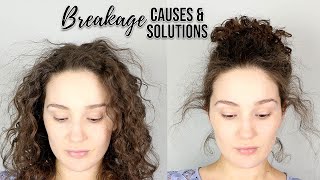 Breakage 101  Causes amp Solutions for Breakage in Curls [upl. by Pomeroy]