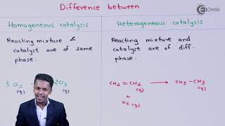 Difference Between Homogeneous Catalysis and Heterogeneous Catalysis  Surface Chemistry [upl. by Vere]