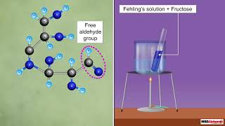 Reducing and Non Reducing Sugars [upl. by Henriha]