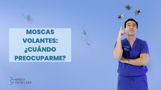 MOSCAS VOLANTES CUANDO PREOCUPARME [upl. by Lindemann]