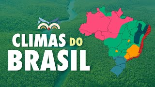 Climas do Brasil  Toda Matéria [upl. by Niatirb]