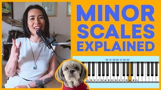 Minor Scales Explained in 8 Minutes [upl. by Notselrahc]