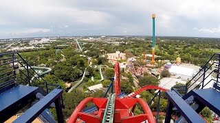 SheiKra Front Row POV Ride at Busch Gardens Tampa Bay on Roller Coaster Day 2016 Dive Coaster [upl. by Ecnerewal]