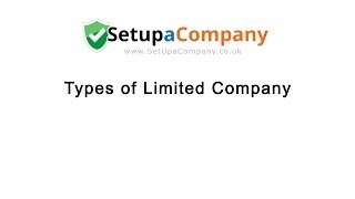 Different Types of Limited Company Explained [upl. by Nagol]