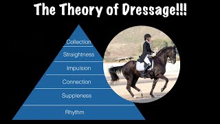 The Theory of Dressage [upl. by Yednil]