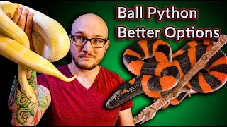 DO NOT Get A Ball Python These Snakes Are Better  Top 5 SURPRISING Ball Python Alternatives [upl. by Oiziruam520]