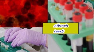 Albumin Levels – High Low Normal Range [upl. by Almeda395]