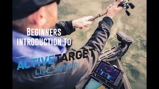 Beginners Introduction to Lowrance Active Target [upl. by Enylecoj]