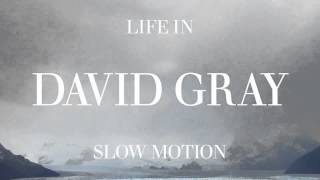 David Gray  Slow Motion Official Audio [upl. by Trinity]