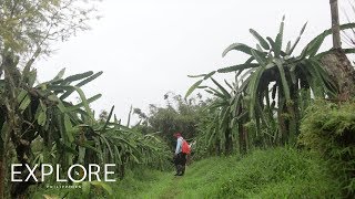 A Farmers Story Sustaining Lives Through Farming  Explore Philippines [upl. by Izawa70]