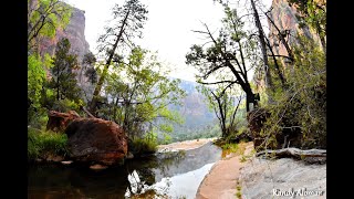 Zion National ParkGrotto Trail amp Emerald Pools Trail [upl. by Ailemak]