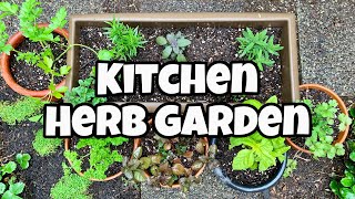 DIY Herb Garden For Beginners  DIY Kitchen Herb Garden [upl. by Gwenny]