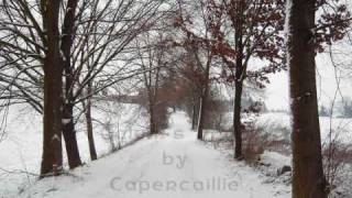 Capercaillie  Calums Road [upl. by Eseeryt644]