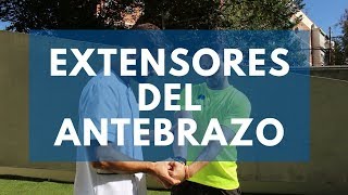 Estiramiento de los extensores del antebrazo [upl. by Nachison]