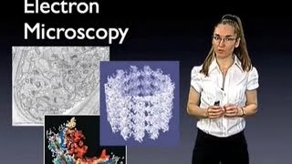 Eva Nogales UC Berkeley Introduction to Electron Microscopy [upl. by Eerazed]