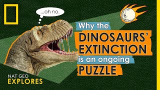 Why the Dinosaurs’ Extinction is an Ongoing Puzzle  Nat Geo Explores [upl. by Grof682]