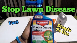 How to Stop Lawn FungusDisease How to Use Bio Advanced Hose End Sprayer [upl. by Yrellav]