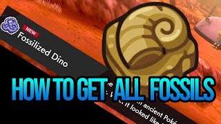 How To Get All Fossils Locations  Fossilized Dino amp Birds  Pokemon Sword and Shield [upl. by Scheer]