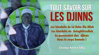 Le monde des djinns N°10  Tout savoir sur les djinns  Oustaz Arona SALL [upl. by Inavoig228]