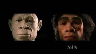 PBS Nova Documentary Collection Homo Sapiens The Birth of Humanity [upl. by Eustache]