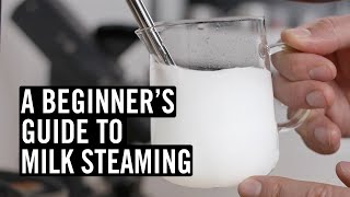 Everything You Need To Know To Steam Great Milk [upl. by Goldberg959]